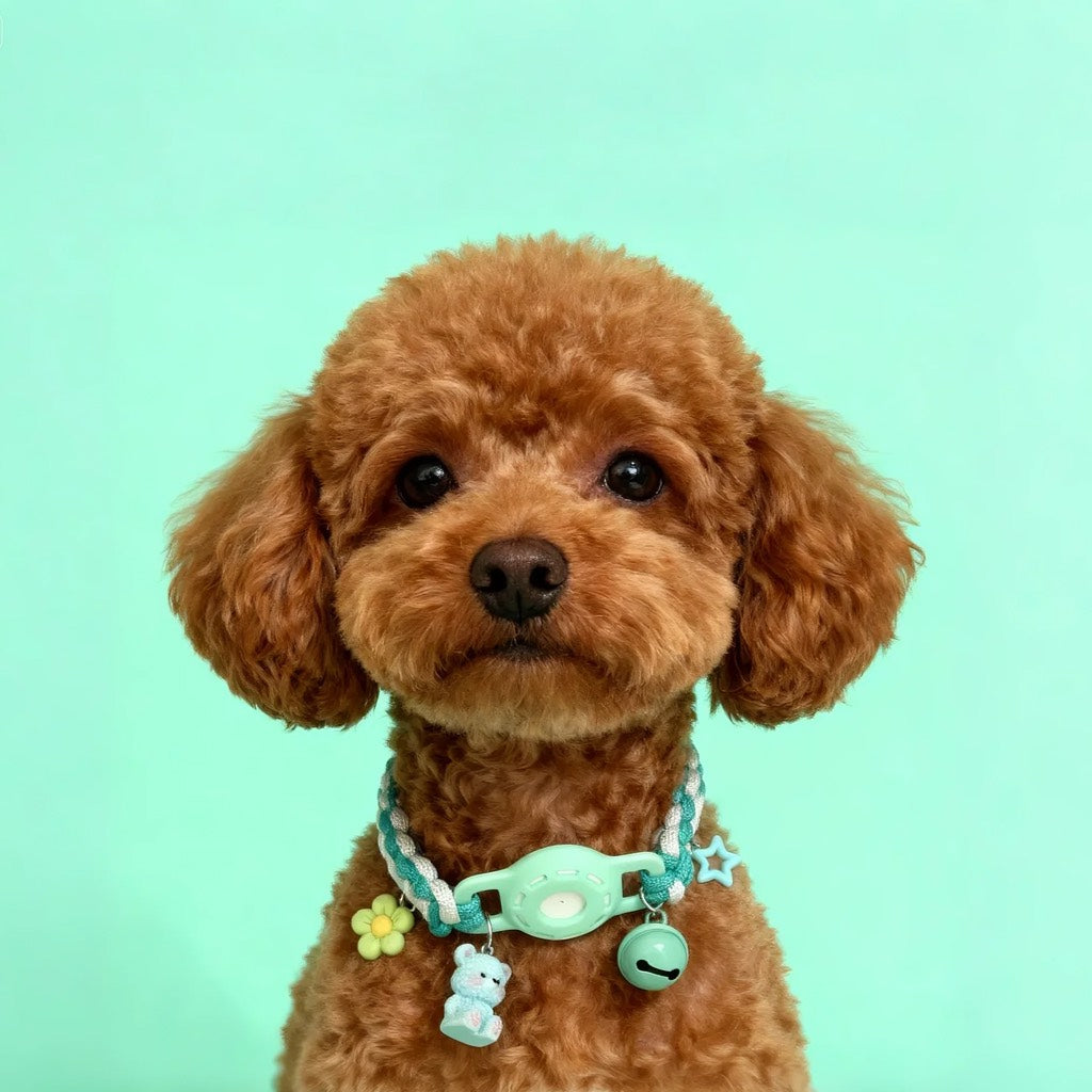 🌈 Dopamine Hand-Woven Tracker Collar